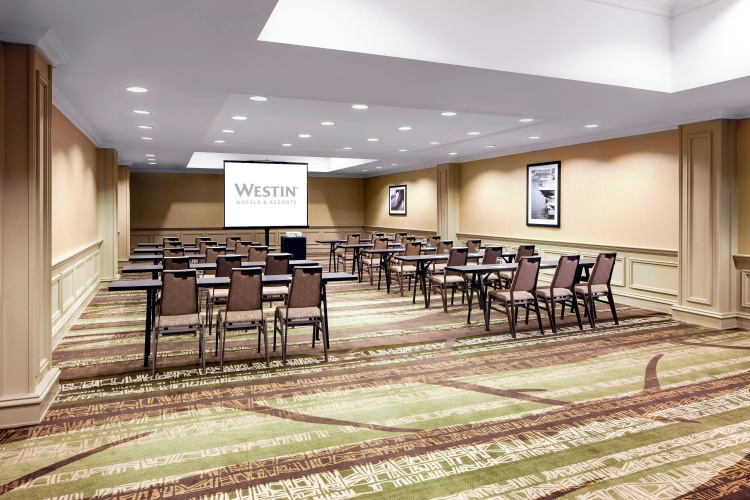 The Westin Michigan Avenue Chicago photo 18