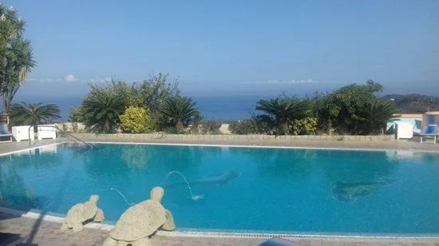 La Beccaccia