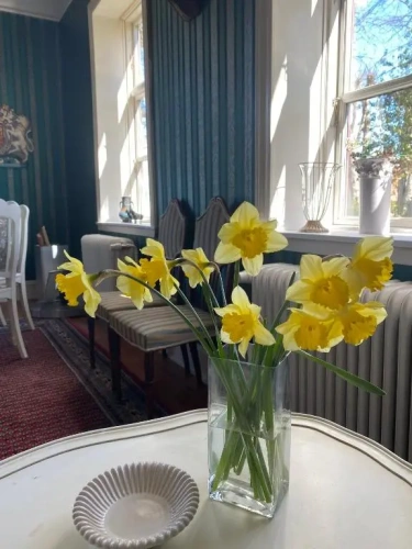 Standard Double room with garden view