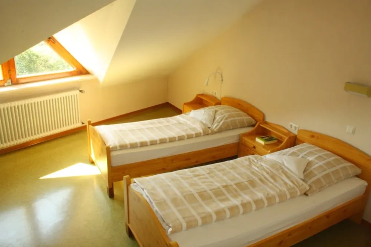 Economy Twin room with garden view