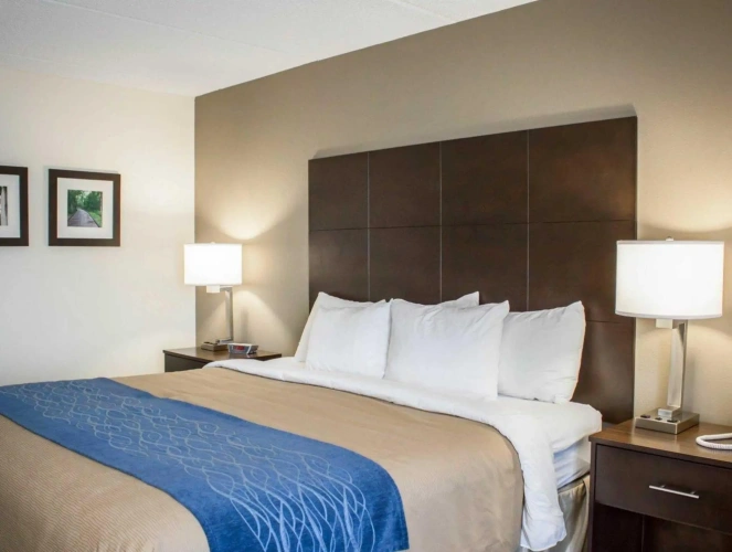 Standard room