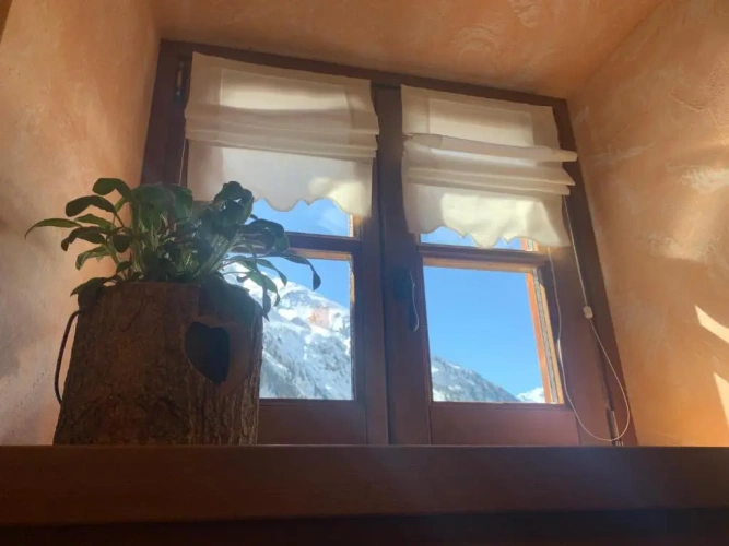 Apartment with mountain view