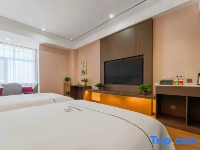 Business Double room with city view