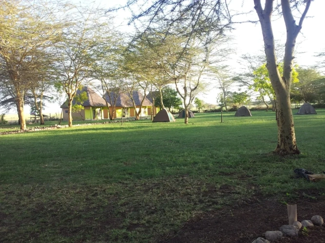 Bungalow