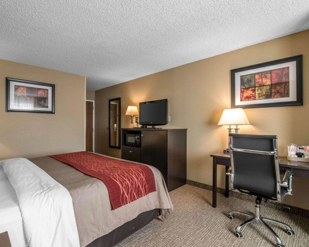 Comfort Inn Saugerties
