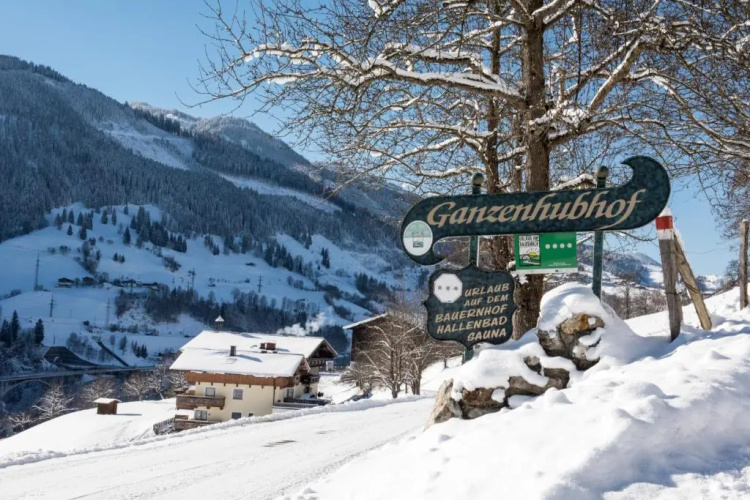 Ganzenhubhof