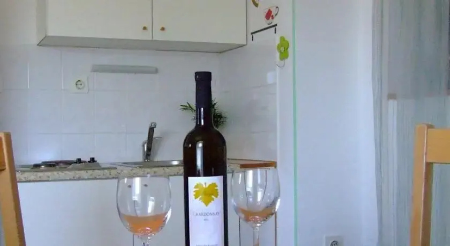 Apartment Brajdica