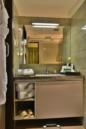The Fern Residency Vadodara, Series by Marriott