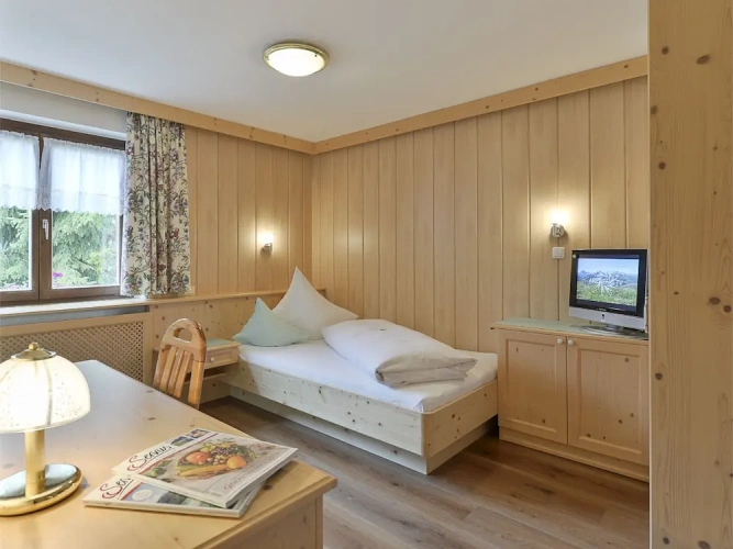 Standard Single room with mountain view