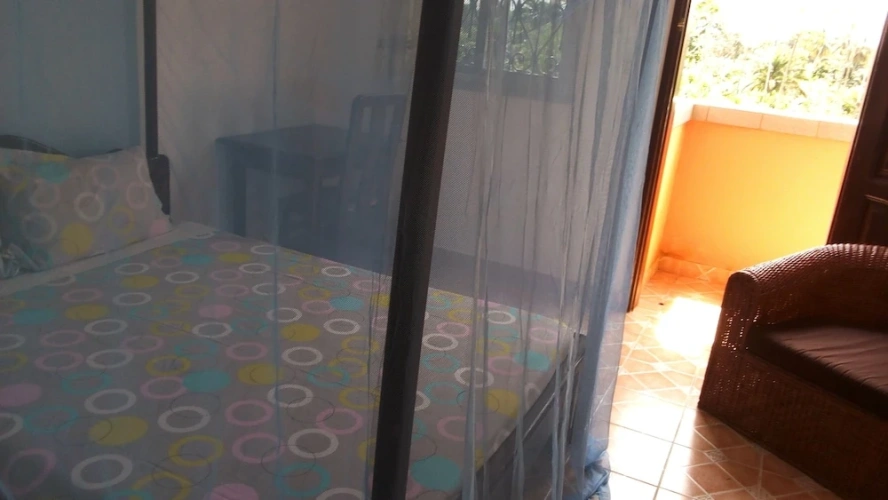 Standard Double room with balcony and with sea view