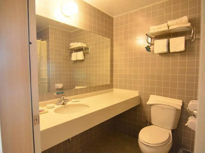 Standard Twin room with view