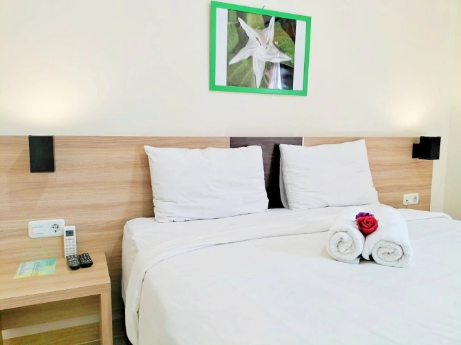 Superior Double room