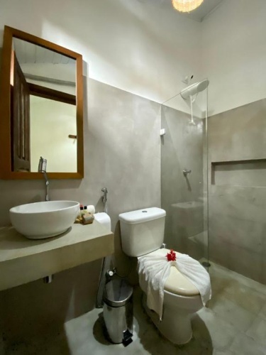 Standard Double room with pool view