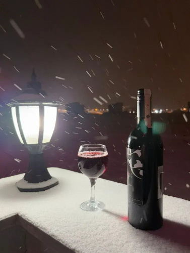 Snowland Otel Sarikamis