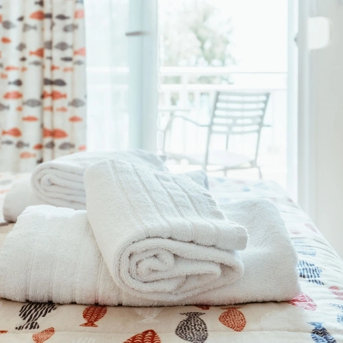 Standard Double room with balcony and with garden view