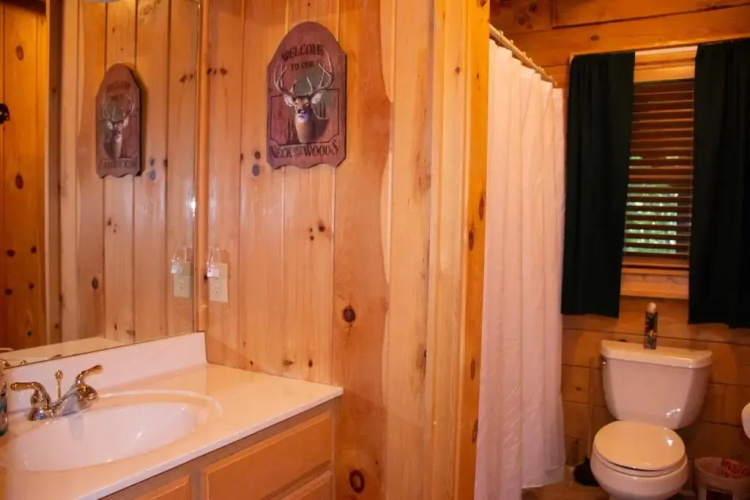 Red Wolf Cabin in Maggie Valley