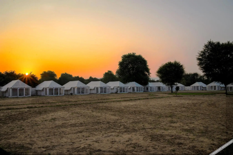 Royal Safari Camp