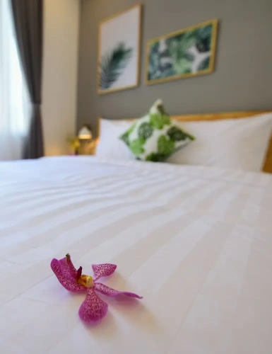 Deluxe Double room with river view