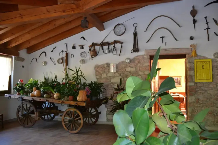 Agriturismo Corte Maccini