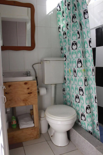 Casa Volante Hostal - Hostel