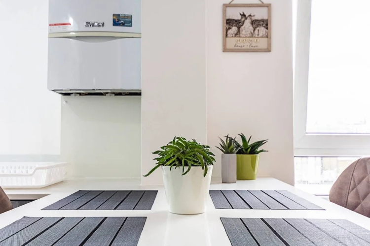 Magnificent and centrally located flat