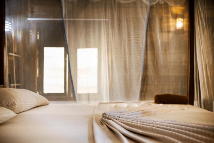 Standard Twin room with garden view