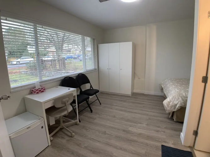 Old plum tree Style Suite