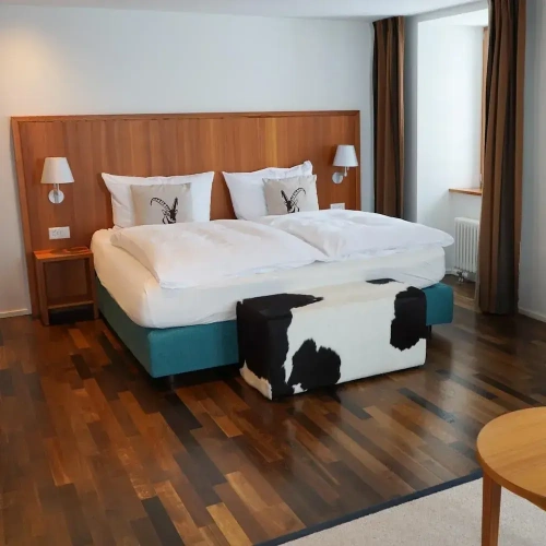 Standard Double room with mountain view