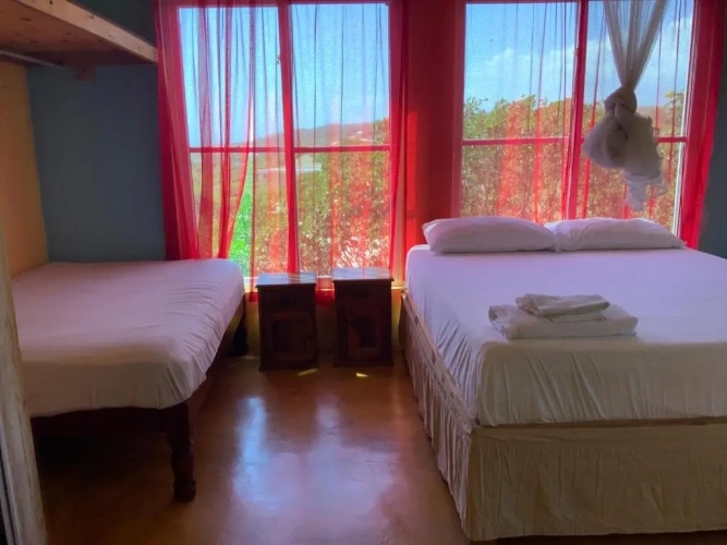 Bed in Dorm