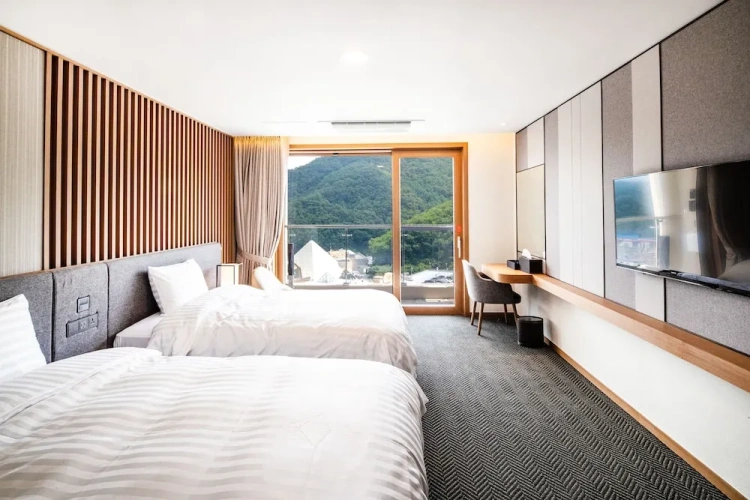 Superior Double room with park view