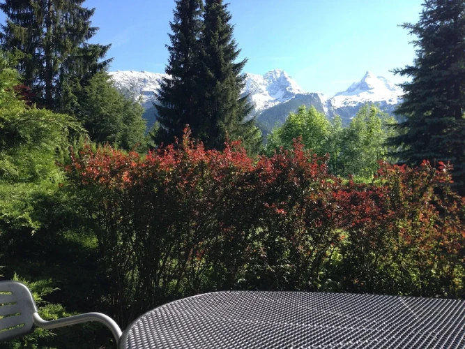 2 Bedrooms Grand Apartment with mountain view