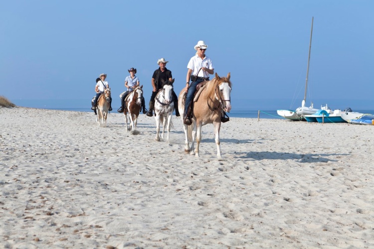 Horse Country Resort Congress & Spa photo 20