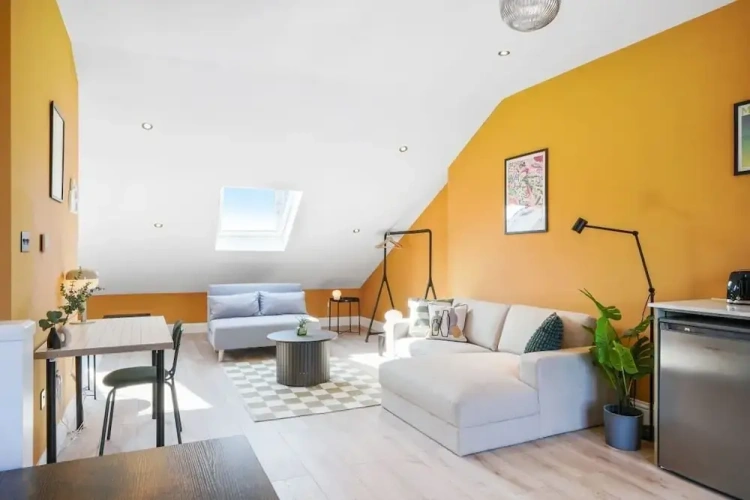 1 Bedroom Apartment