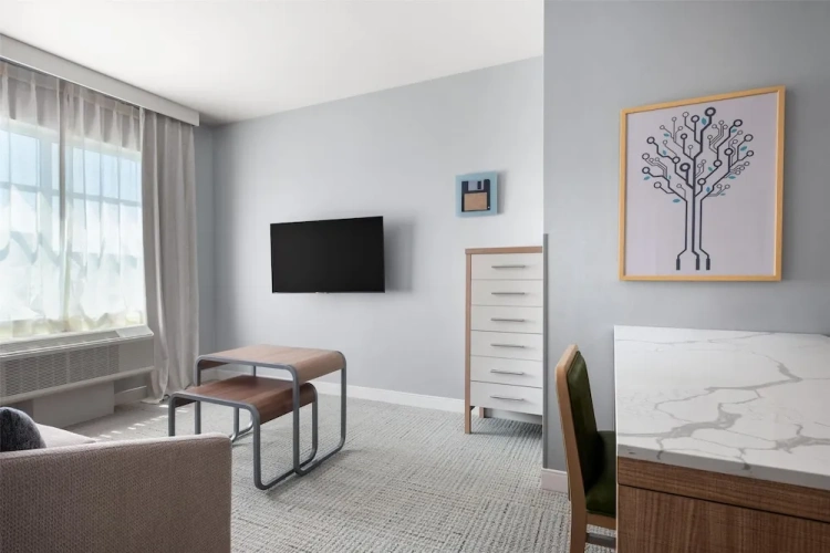 1 Bedroom Suite