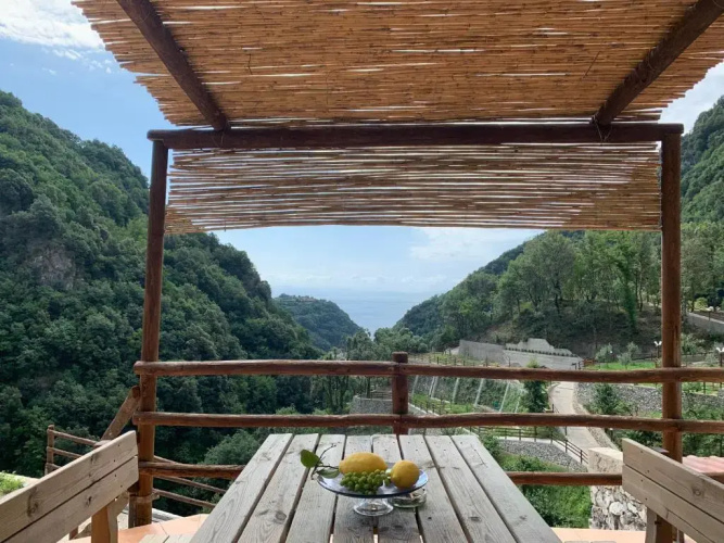 Tenuta Bosco