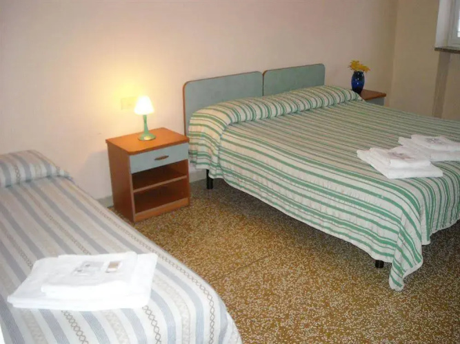 Daily Bed