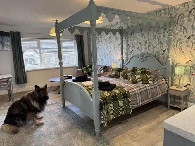 Superior Double room