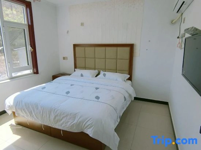 Standard Double room with mountain view
