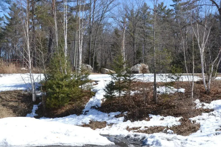 Calabogie Motor Inn