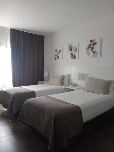Premium Twin room