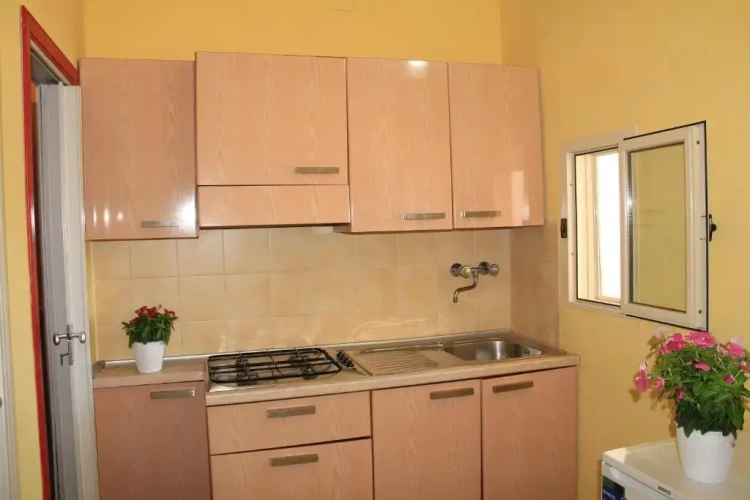 1 Bedroom Economy Double Apartment