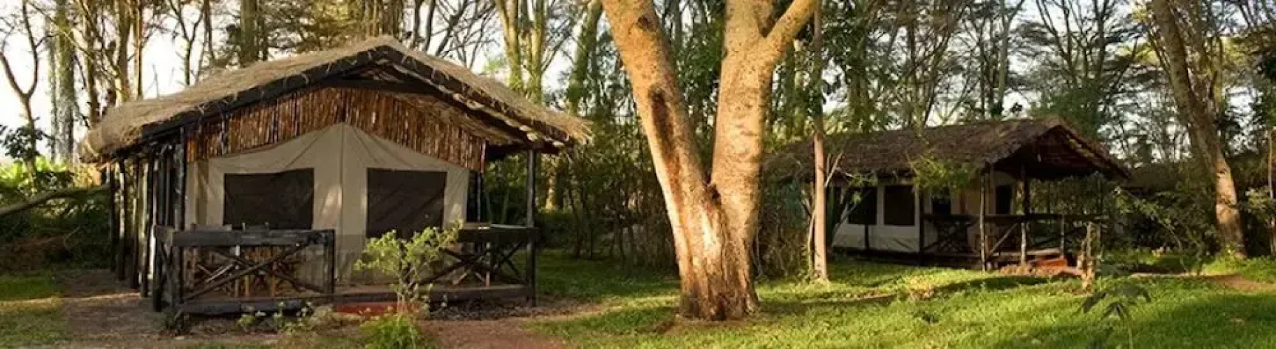 Migunga Forest Camp