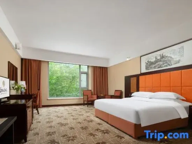1 Bedroom Suite