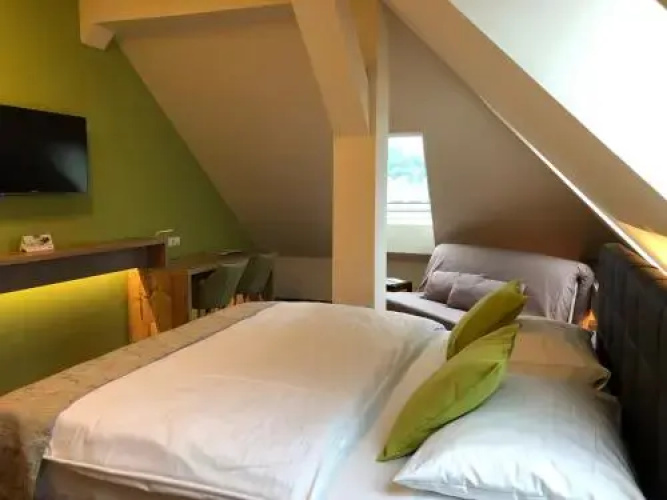 Hotel Braun