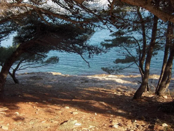 Apartment Orange-30m from beach