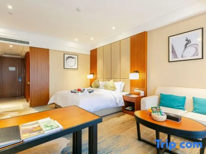 Standard Double room with city view