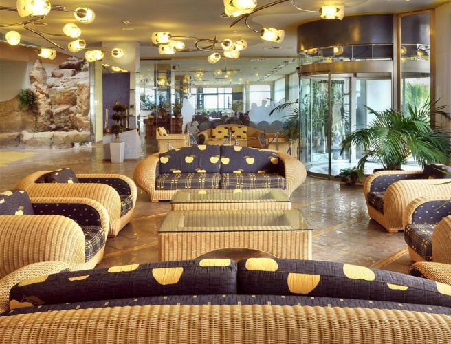 Kaktus Albir photo 34