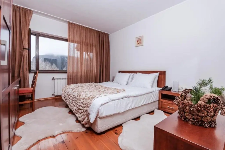 Standard Double room with balcony and with view