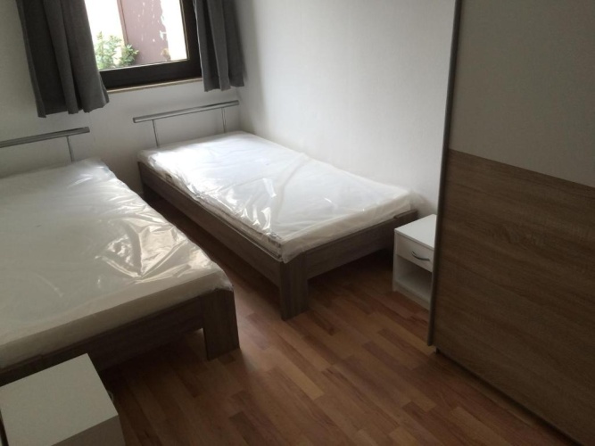 Basement Apartment