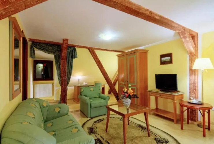 1 Bedroom Suite